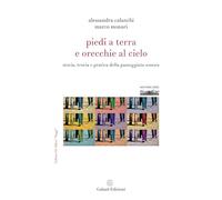 Piedi a terra e orecchie al cielo. Storia, teoria e pratica della passeggiata sonora