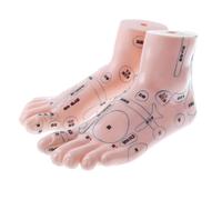 Piedi Di Agopuntura Per Massaggio Da 19 Cm Modello Di Riflessologia Kit Di