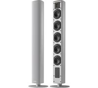 Piega Ace 50 Wireless (TX + RX) argent - Enceinte connectée, Spotify, Roon Ready