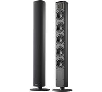 Piega Ace 50 Wireless (TX + RX) noir - Enceinte connectée, Spotify, Roon Ready