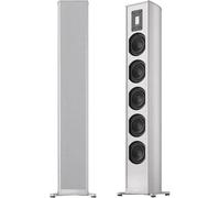 Piega Premium 501 Wireless Gen2 argento (confezione da 2) - Cassa intelligente wireless, Spotify