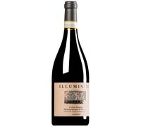 Pieluni Montepulciano d'Abruzzo Riserva Colline Teramane DOCG 2017 0,75 l