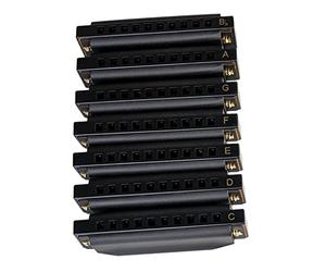 Piemonte Blues Set Armonica Chiave G A Sib C D E F 7 pezzi Arpa Kit con custodia, strumento musicale per principianti e professionisti, per adulti e bambini, supporto e supporto cromatico diatonico