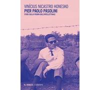 Pier Paolo Pasolini. Studi sulla figura dell'intellettuale
