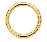 PIERCINGO® Titanio, G23, anello segmentato di alta qualità, con cerniera, setto naso, orecchio, elice, labbro, sopracciglio, trago, piercing a cerchio, daith Hoop ASTM F136, 1.2mm x 10mm, Titanio G23