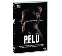 Piero Pelu'. Rumore Dentro - Dvd