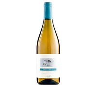 PIERPAOLO PECORARI Pinot Grigio 2021 IGP Venezia Giulia 12 x 0,75 l