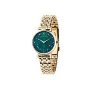 Pierre Cardin Gold Stainless Steel Dress Watch