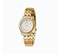 Pierre Cardin Gold Stainless Steel Dress Watch
