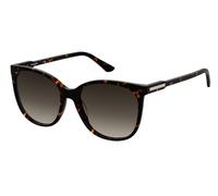 Pierre Cardin P.C. 8526/S 086/HA Occhiali da sole Marrone Sfumato