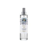 Pierre Guillaume Bonheur du Jour Eau de Toilette