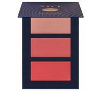 PIERRE RENE Art Cream Contouring palette 01 12g