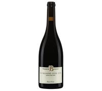 Pierrick Bouley Bourgogne Côte d'Or AOC Pinot Noir 2022 0,75 ℓ