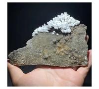 Pietra di Cristallo Esemplare minerale di quarzo bianco naturale a forma di fiore, decorazione for la casa Collana con porta-pietre di cristallo