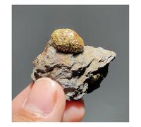 Pietra di Cristallo Pietre naturali Pirite Campioni minerali Cristalli Ornamenti Decorazione della stanza Collana con porta-pietre di cristallo(30g)