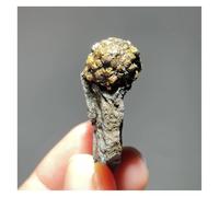 Pietra di Cristallo Pietre naturali Pirite Campioni minerali Cristalli Ornamenti Decorazione della stanza Collana con porta-pietre di cristallo(20g)