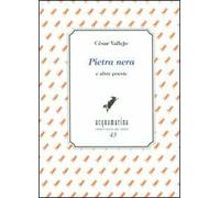 Pietra nera e altre poesie