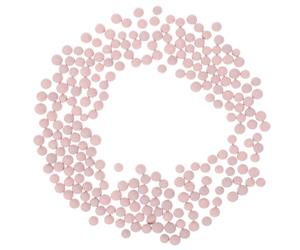 Pietre Decorative Rosa in Ceramica per Cactus e Bonsai da Giardino | Riempitivo per Vasi, Topdressing Facile, Non Danneggia le Piante, per Vasi e Aiuole Decorative