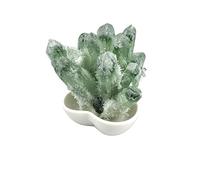 Pietre e Cristalli 1 Pz Regalo di Cristallo Verde Naturale Cluster Phantom Quartz ZOUCUNXIYIN (Size : 800g)