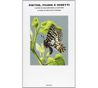 Pietre, piume e insetti. L'arte di raccontare la natura