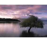 Pietro ai 60 x 80 cm, South Island, Nuova Zelanda Tela Stampa
