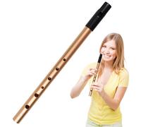 Piffero Irlandese, Tin Whistle, Penny Whistle in Chiave di D, Tradizionale Musicale Strumento a Fiato per Musica Tradizionale e Principianti