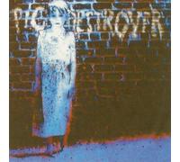 PIG DESTROYER - BOOK BURNER - PIG DESTROYER
