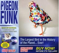 Pigeon Funk - Largest Bird in The History Of The Planet Ever!
