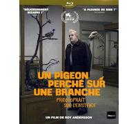 Pigeon perche sur une branche philosophait sur l'existence (un) - blu-ray