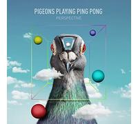 PIGEONS PLAYING PING PONG - PERSPECTIVE