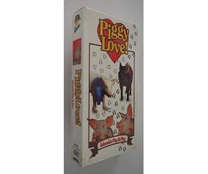 Piggy Love: Adorable Pigs at Play