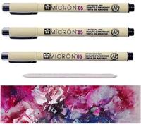 PIGMA MICRON - Fineliner, 3 pezzi Sakura pennarellini a punta fine, a base di pigmenti, 05. colore: nero + 1 ESTOMPE E 1 CARTE