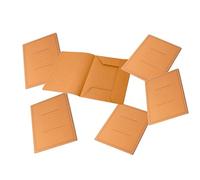 Pigna 0221801AR , Conf. 50 pezzi , Cartella 3 Lembi con Stampa , colore ARANCIO