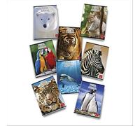 Pigna 02253580A Quaderni A4 Animal World