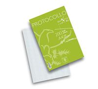 Fogli protocollo Quaxima - A4 - 4 mm - 80 gr - Pigna - conf. 200 pezzi