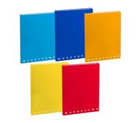 Quadernone A4 Cartonato 60 Fg. da 80 gr. 4 mm MONOCROMO PIGNA (5 Pz)