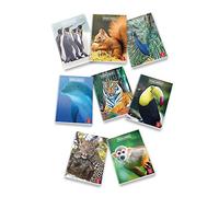 Pigna Animal 02243695M, Quaderno formato A4, Rigatura 5M, quadretti 5 mm per 2° e 3° elementare, Carta 80g/mq, Pacco da 10 Pezzi