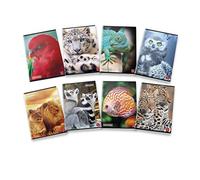 Pigna ANIMAL 02307651R Maxi Quaderni A4 Quadretti 1R Righe, Confezione da 10 Pezzi