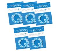 Pigna Blocco Collato QUABLOCK f to A4 Carta 80 gr 4 Fori interno 5M quadretti 5