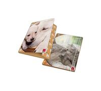 Pigna Cartella 3 Lembi dorso 1,2; Dolci Cuccioli, Conf. 6 pezzi - NUOVO