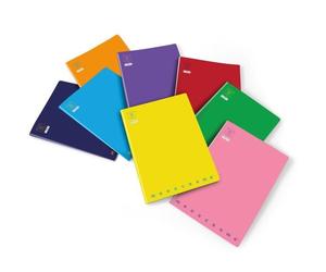 Pigna CF10QUADERNO MAXI MONOCROM 100GR 10
