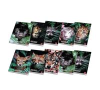 Pigna confezione 10 Maxi Quaderni A4 ANIMAL, pagine 80+risguardo,righe III elementare