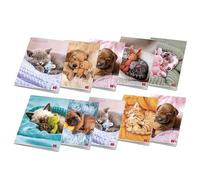 Pigna confezione 10 Maxi Quaderni A4 DOLCI CUCCIOLI, pagine 80+risguardo,righe I II elementare