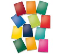 PIGNA confezione da 10 pezzi - maxiquaderno a4 40fg+2 80gr 2 colonne monocromo pigna