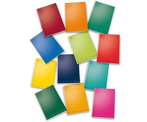 PIGNA confezione da 10 pezzi - maxiquaderno a4 40fg+2 80gr 2 colonne monocromo pigna
