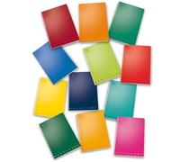 PIGNA confezione da 10 pezzi - maxiquaderno a4 40fg+2 80gr commerciale monocromo pigna