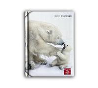 Pigna Diario 12 mesi Dolci Cuccioli, data libera, soggetto Orso Polare - NUOVO