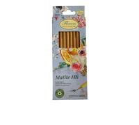 Pigna Matite HB Flowers NATURE cf.10