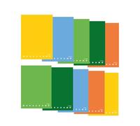 Pigna, Maxi MONOCROMO GREEN, pag. 80 + risguardo, carta riciclata, 8 soggetti, interno 0Q, quadretto 5 mm. con margine, 10 pezzi