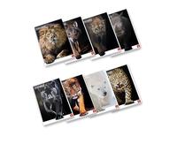 Pigna, Maxi Quaderno Animal, f.to A4 21x29,7 cm., pagine 80 + risguardo, carta 80 g/m², interno 0A, Righe Prima e Seconda Elementare, Copertine Assortite, 10 pezzi